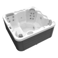 Wellis minibassein castor